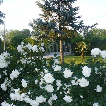 Villanova sull'Arda L'Albero Della Gioia B&B 외부 사진