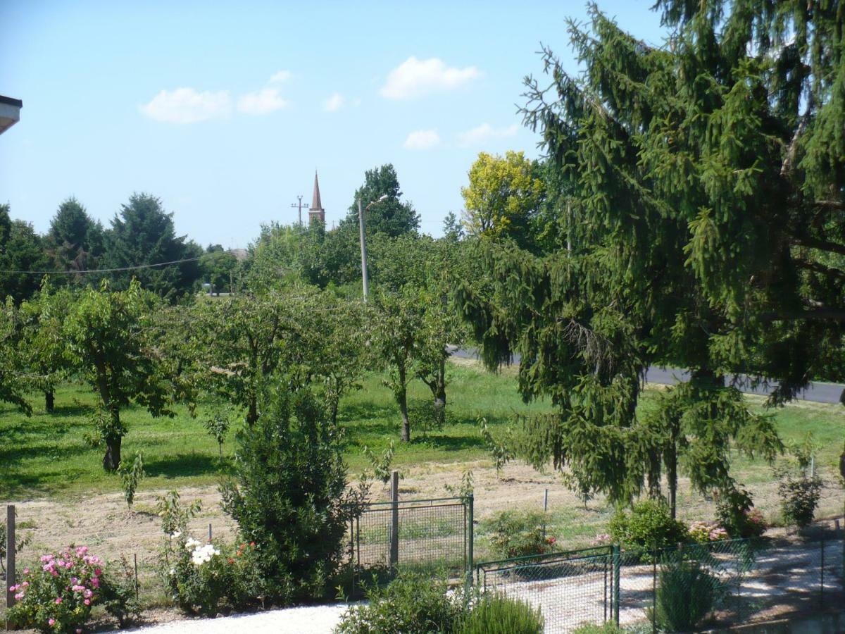 Villanova sull'Arda L'Albero Della Gioia B&B 외부 사진