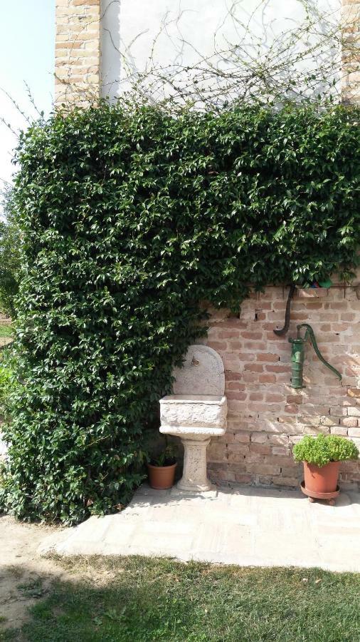Villanova sull'Arda L'Albero Della Gioia B&B 외부 사진